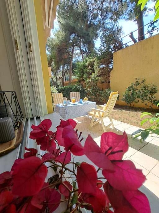 Garden Apartment With Bbq In The Athenian Riviera Exterior photo